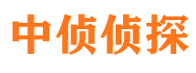 杏花岭市私家侦探